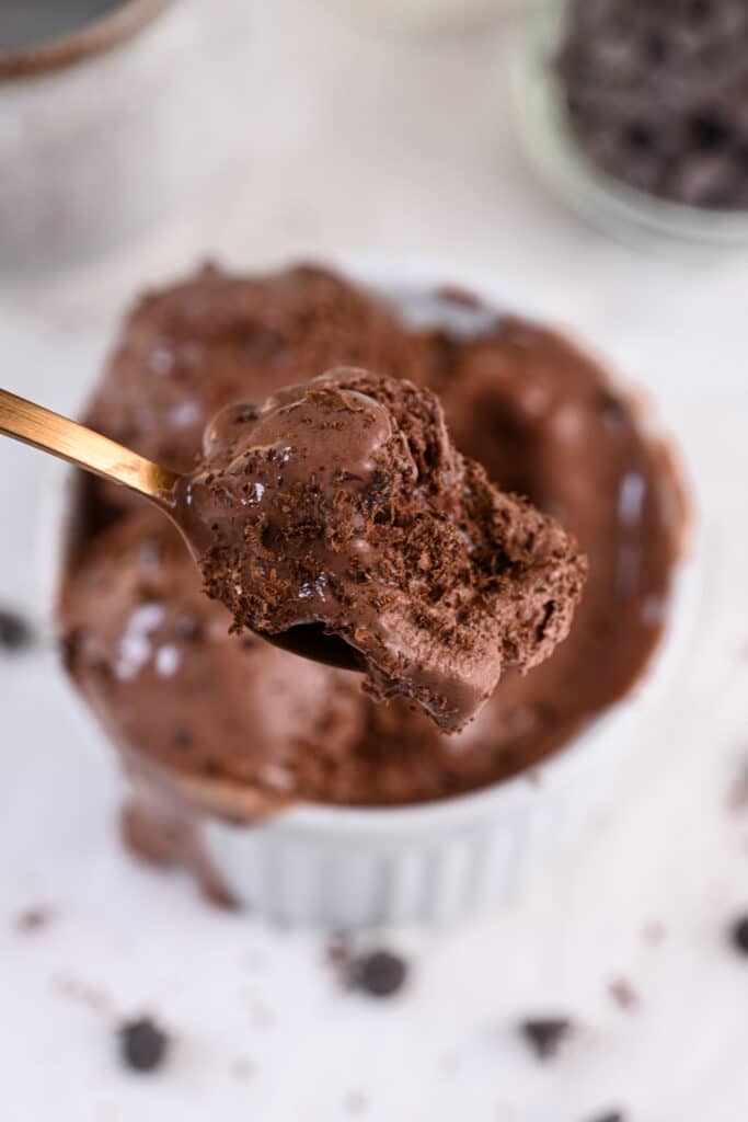 chocolate cottage cheese ice cream recipe, picture with a spoon of low calorie protein ice cream