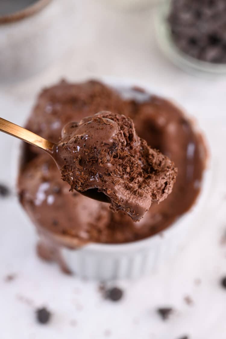 Chocolate Cottage Cheese Ice Cream