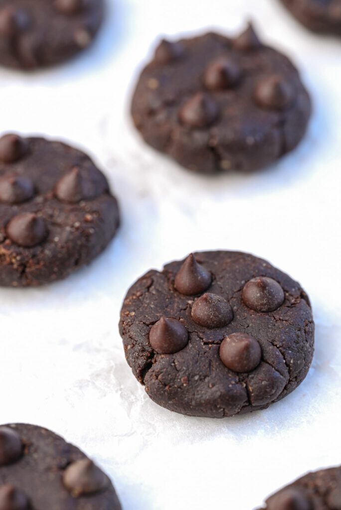 Low carb chocolate cookies no bake