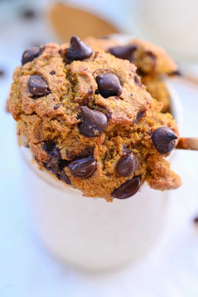 Moist chocolate chip keto mug cake, texture