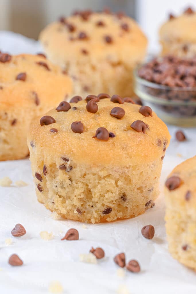 Low carb muffins with chocolate chips