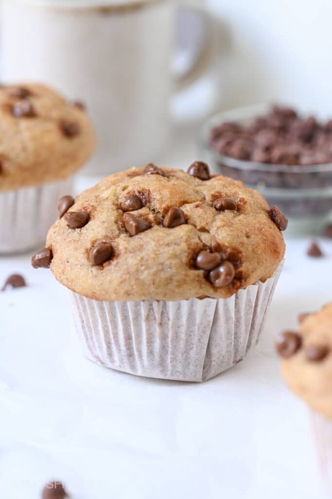 Chocolate Chip Protein Muffins