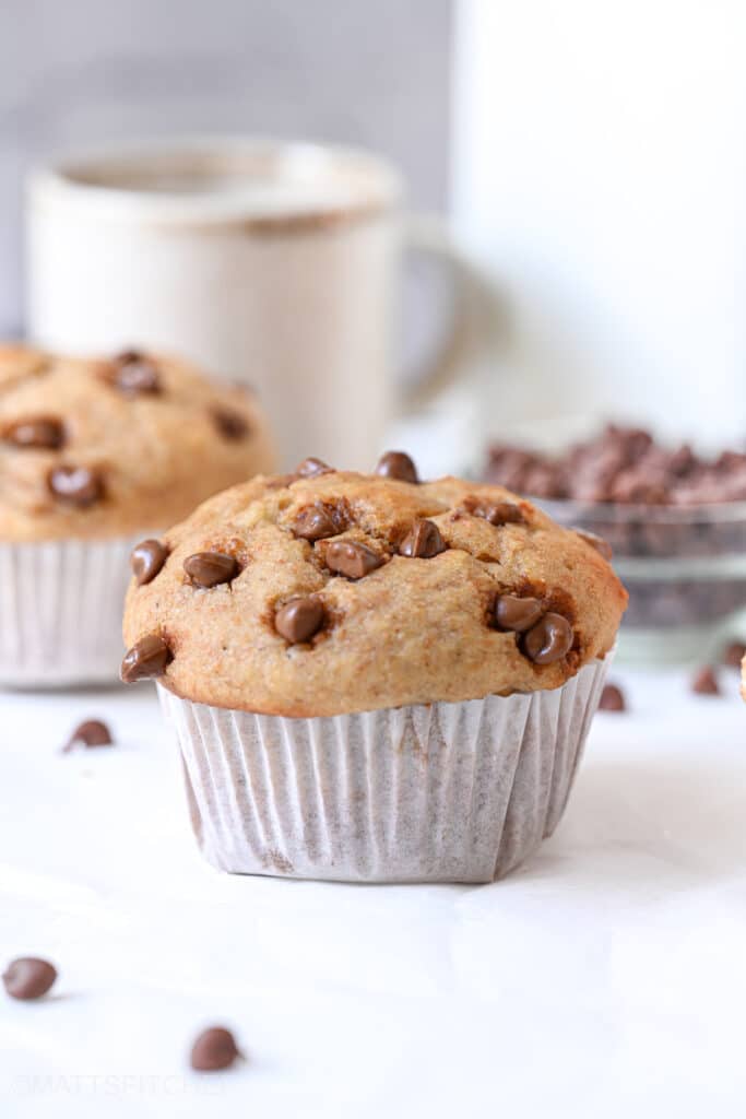 Greek Yogurt Protein Muffins