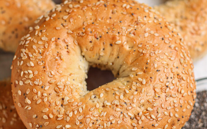 Protein Bagels