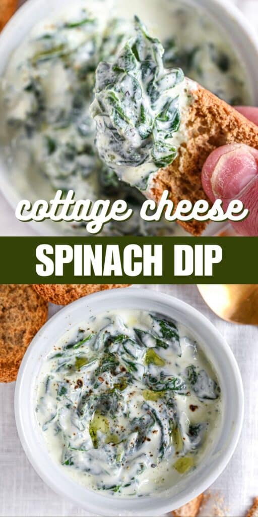 Cottage Cheese Spinach Dip Recipe