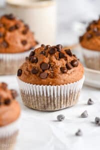 Chocolate Chip Muffins