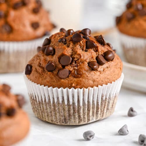 Chocolate Chip Muffins