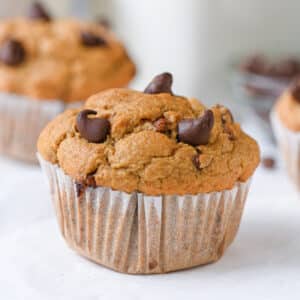 Pumpkin Protein Muffin