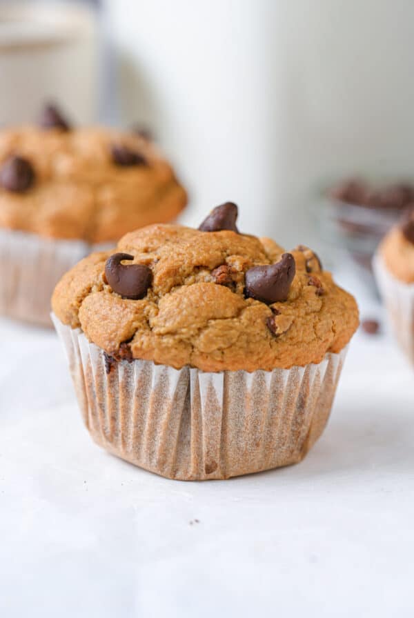 Pumpkin Protein Muffin