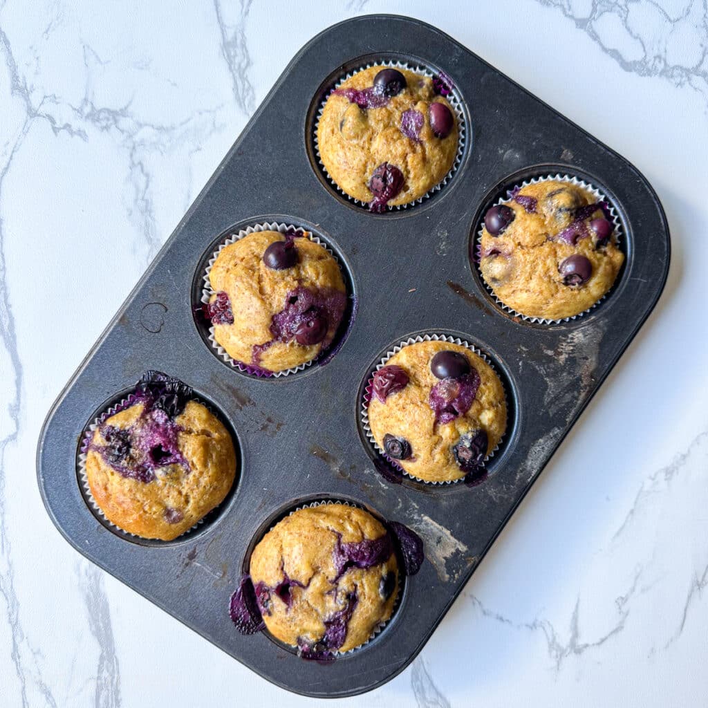 Baked protein muffins with blueberries, let cool in muffin tins straight from the oven