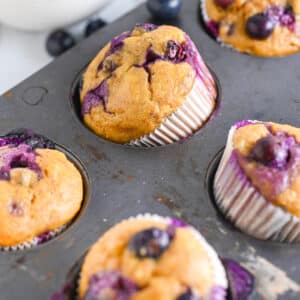 Close up of high protein cottage cheese muffins with juicy blueberries, bursting with flavors and juiciness.