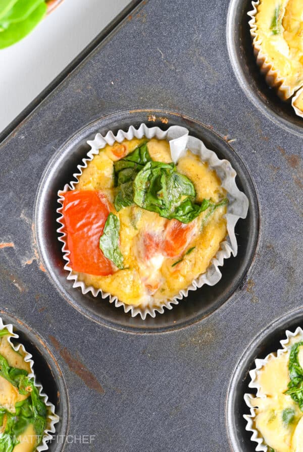 Close up of cottage cheese egg bites with chopped spinach and diced tomatoes one top