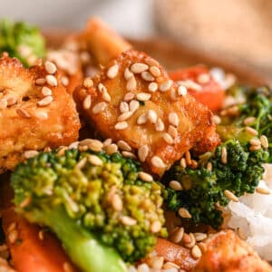 category image vegan recipes