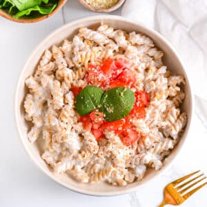 High Protein Cottage Cheese Pasta Sauce Served With Diced Tomatoes, Parmesan and Basil Leaves