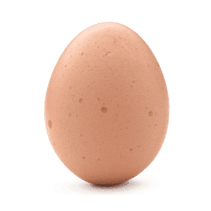 Egg