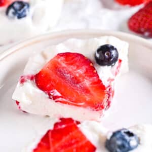 High protein frozen yogurt bars with strawberries and blueberries